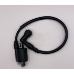 Катушка зажигания FUEGO для двигателя 166FMM RE250