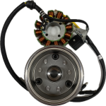Генератор в сборе FUEGO 166FMM (Loncin RE250)