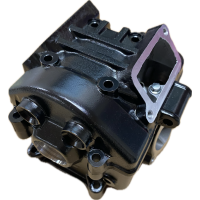 Головка цилиндра FUEGO ZS174MN CBS300