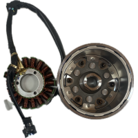 Генератор в сборе FUEGO 171YMM (Loncin FE250)