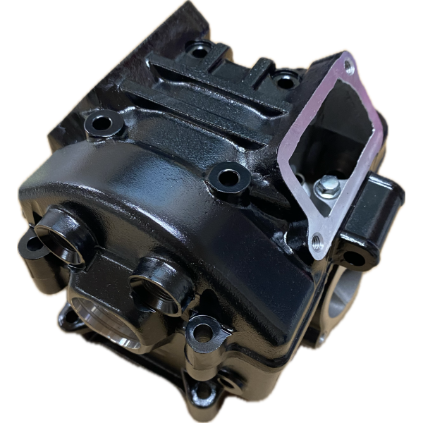 Головка цилиндра FUEGO ZS174MN CBS300