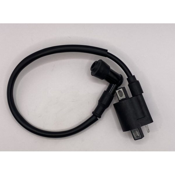 Катушка зажигания FUEGO для двигателя 166FMM RE250 — изображение 2