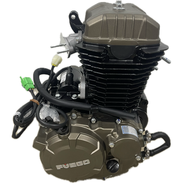 Двигатель FUEGO Tekken 3.0, Scrambler 250 Air, Rambolor 250 Air — изображение 3
